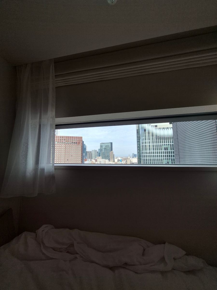 新宿格拉斯丽酒店-旅行者