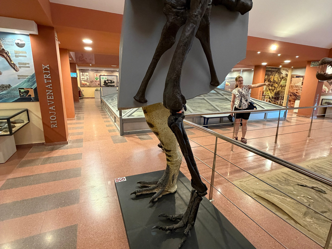 Centro de Interpretacion Paleontologica de La Rioja-Igea必去景点
