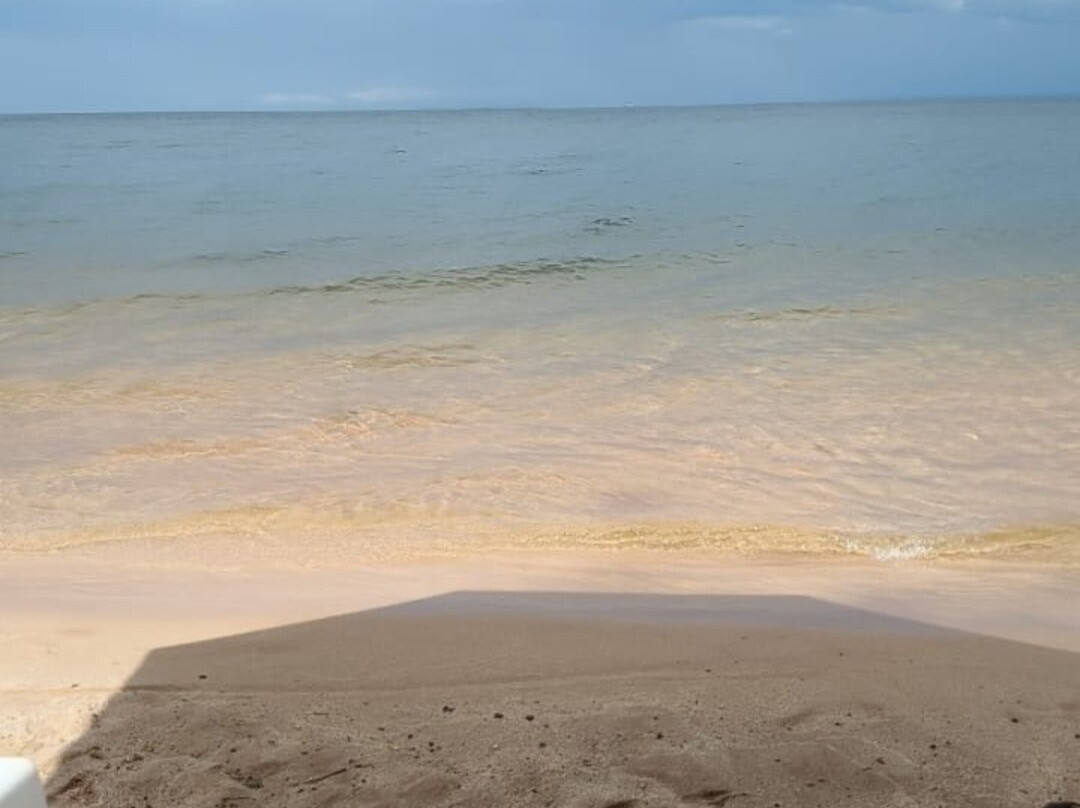 Praia de Pindobal-Belterra必去景点