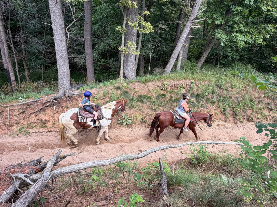 Canyon Creek Horseback Riding Stables-Lake Delton必去景点