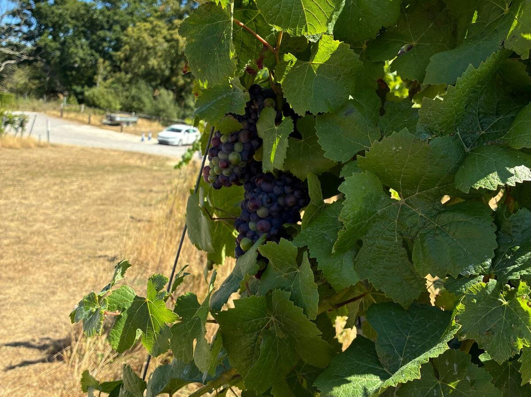 Bolney Wine Estate-Bolney必去景点