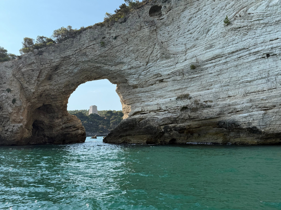 Motobarca Paloma Tour Grotte del Gargano-维耶斯泰必去景点