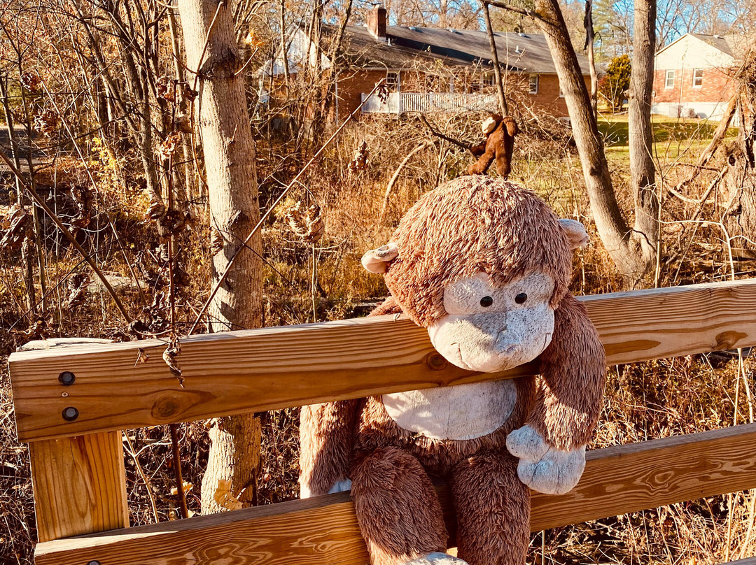 The Wallkill Valley Rail Trail-新帕尔茨必去景点