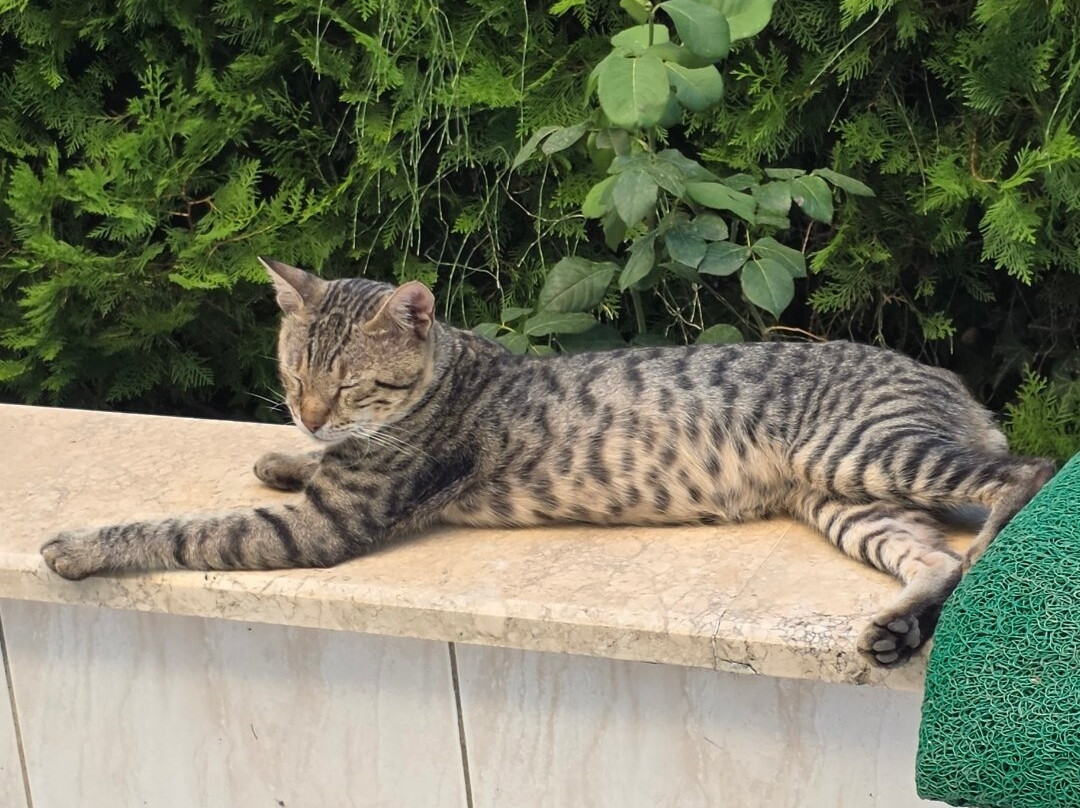 Boğazkent Halk Plajı.-Bogazkent必去景点