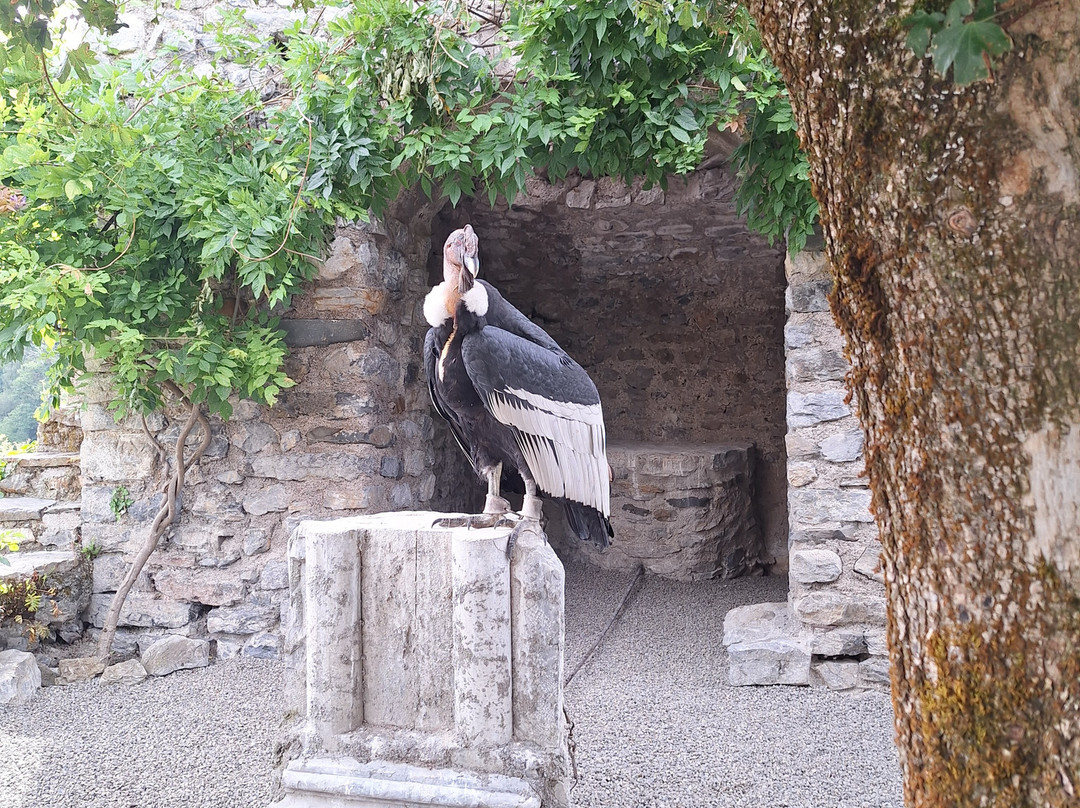 Dungeon of Eagles-Beaucens必去景点