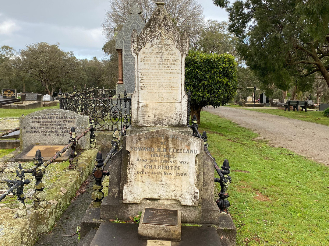 Phillip Island Cemetery-考斯必去景点