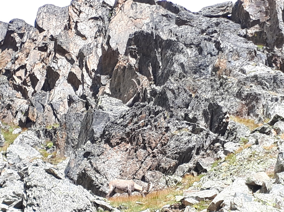 Rifugio Larcher al Cevedale-Cogolo必去景点