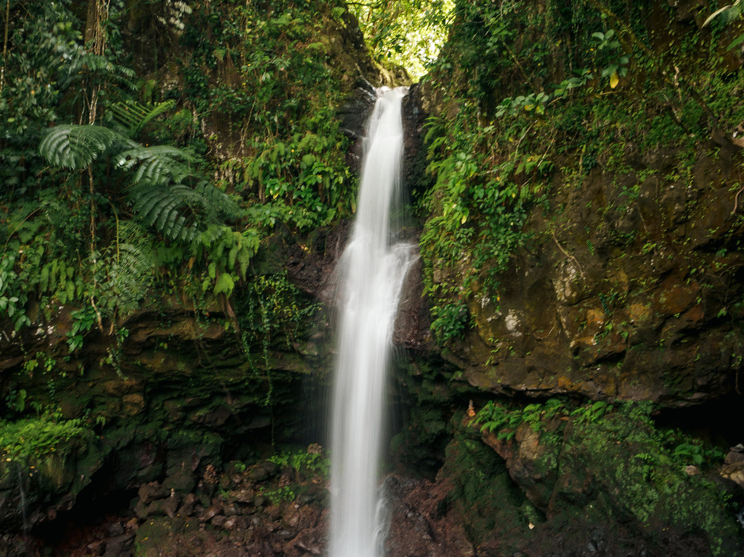 Afu Aau Waterfall-萨瓦伊岛必去景点
