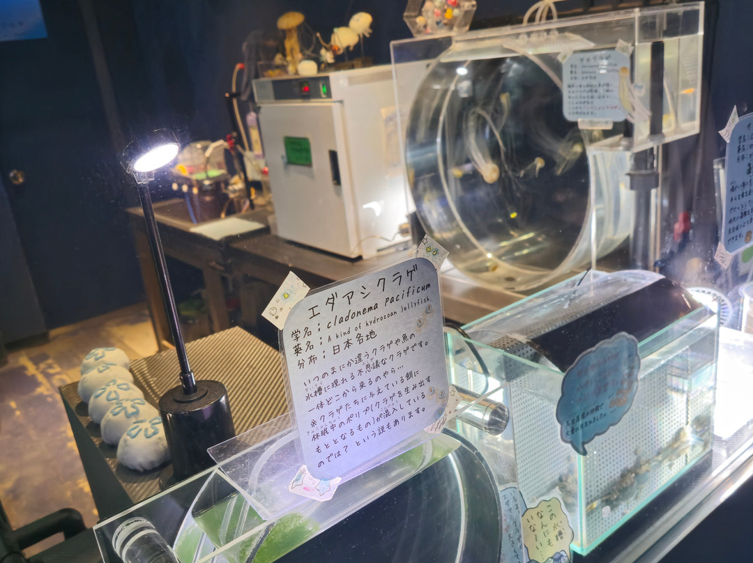 名古屋港水族馆-名古屋市必去景点