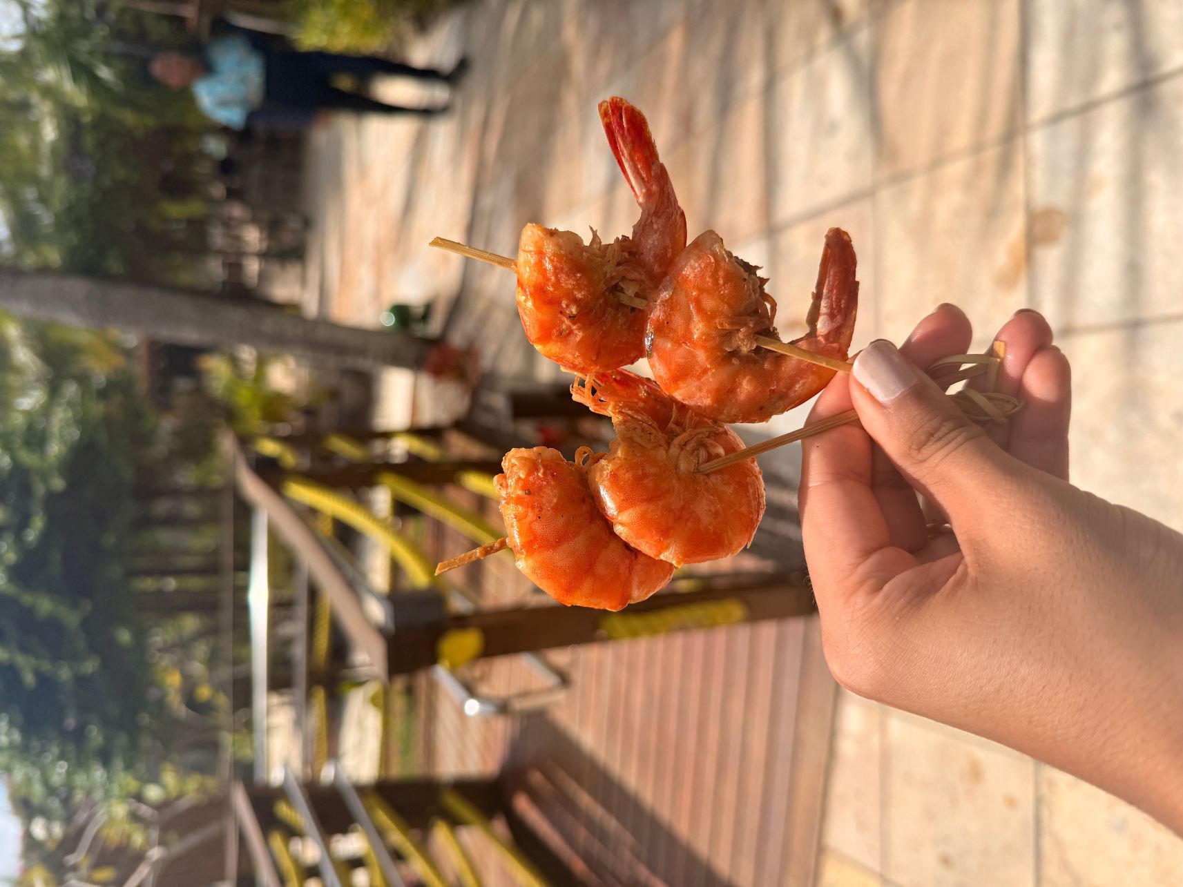 雅帕拉廷加酒廊度假酒店-旅行者