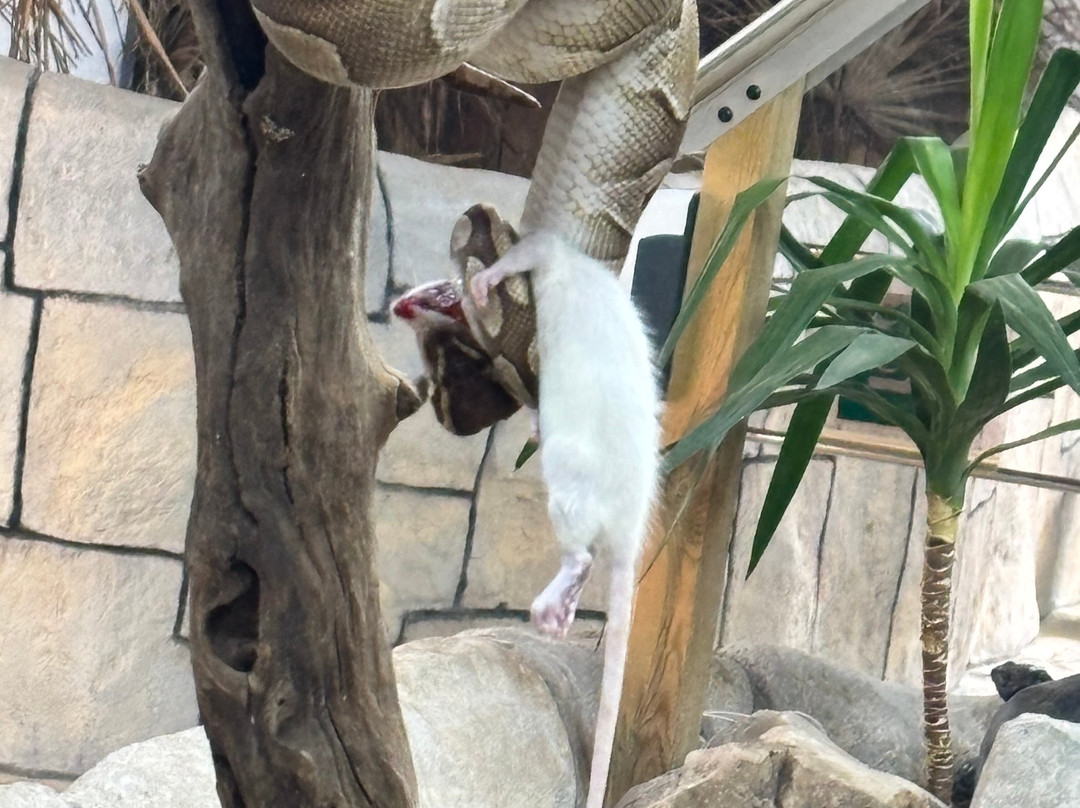 Padiparc - Parc Zoologique-Padirac必去景点