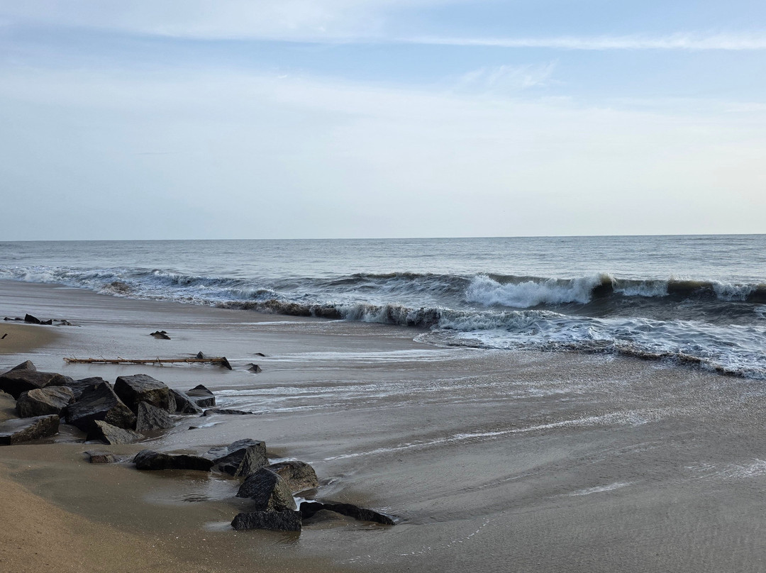 Dr Hari's AyuSaara: Essence of Ayurveda (Formerly Prakruthi.Life)-Cherai Beach必去景点