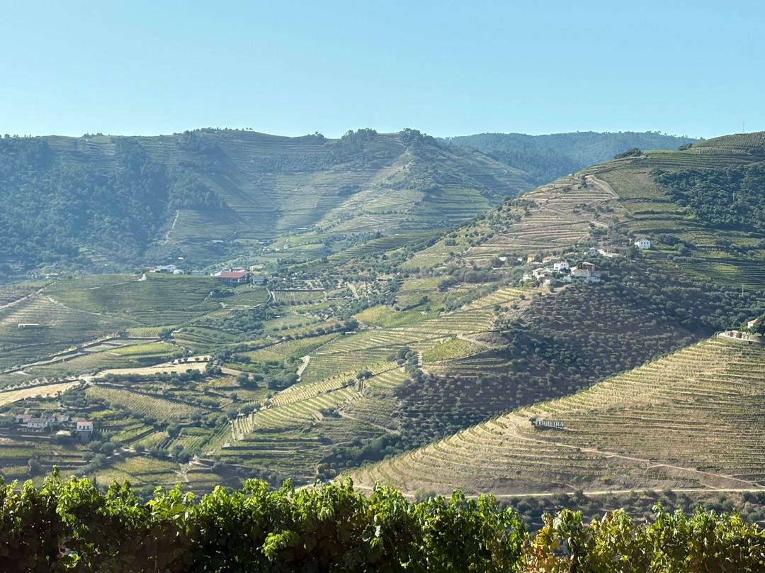 Quinta do Seixo - Sandeman-Tabuaco必去景点