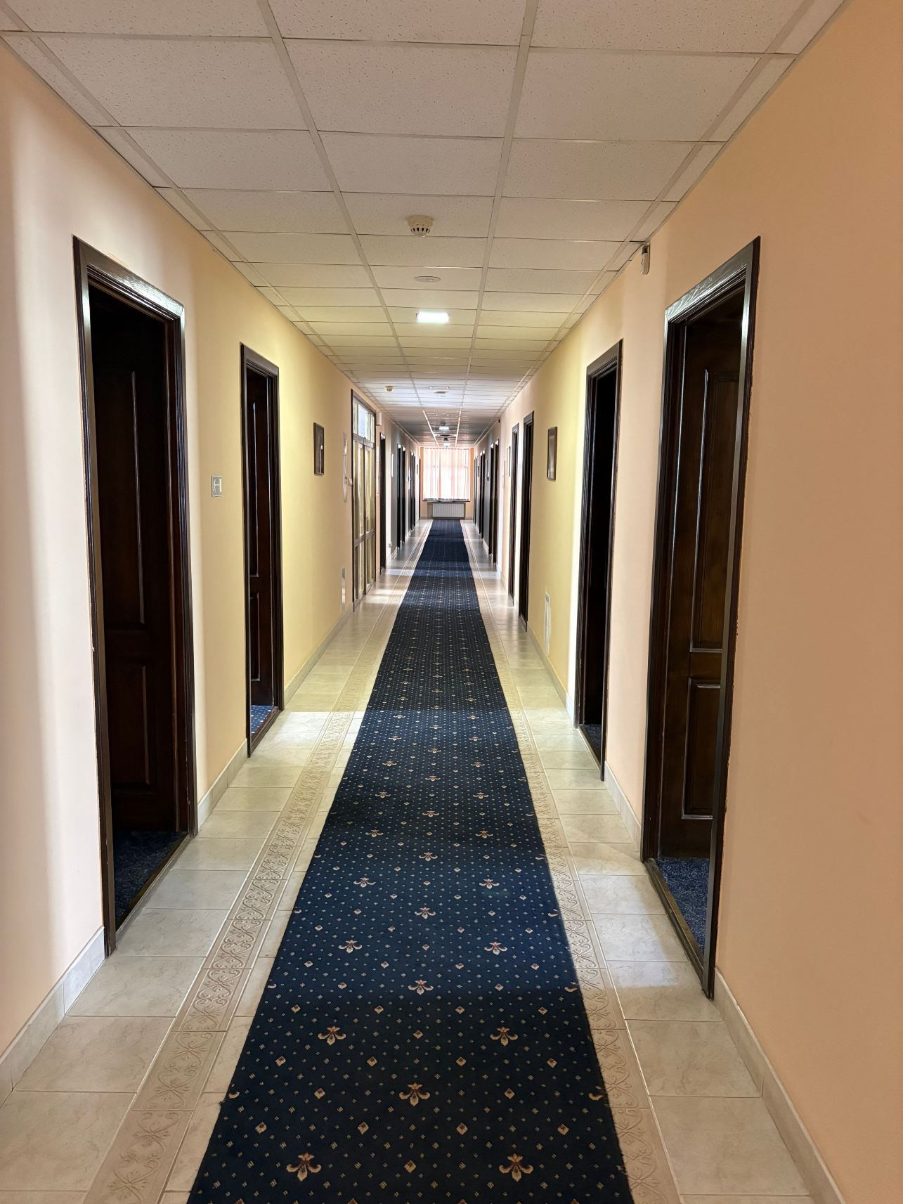 Premier Hotel Star-旅行者