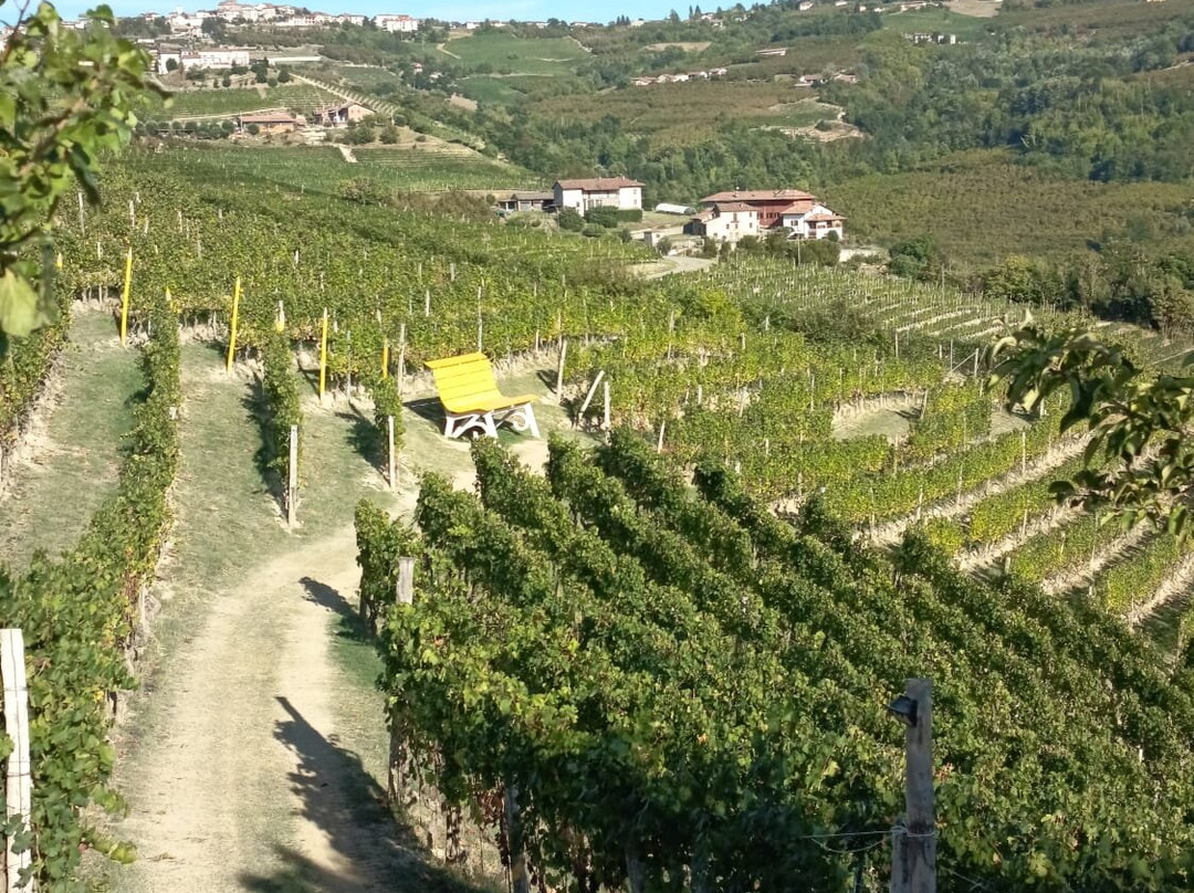 Agriturismo la Ruota主图