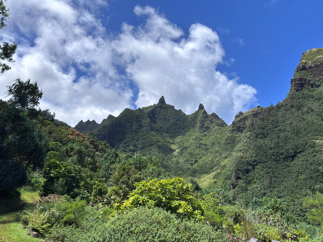 Limahuli Garden and Preserve-哈纳雷伊必去景点