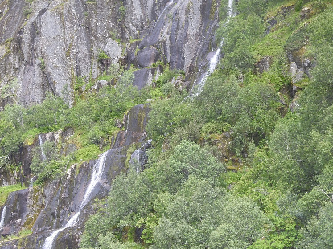 Trollfjord Cruise-斯沃尔韦尔必去景点
