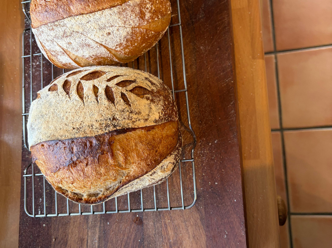 Artisan Bread Making New Forest-利明顿必去景点