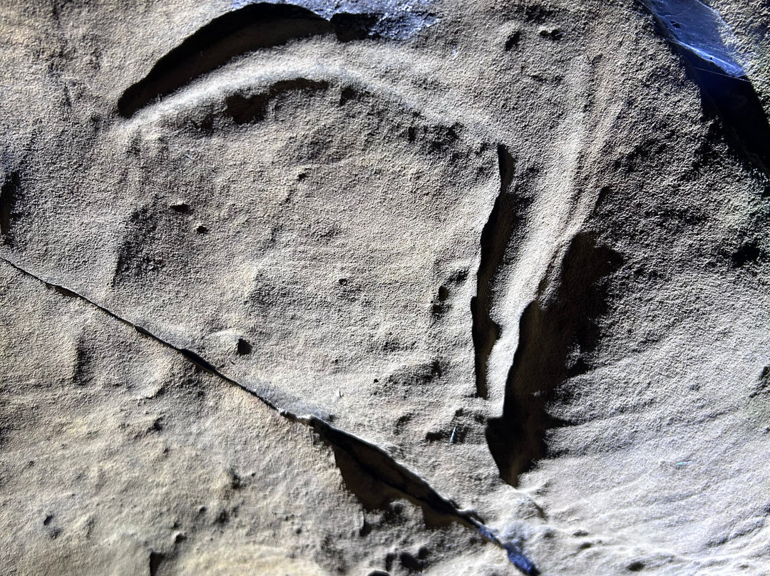 Creswell Crags-沃克索普必去景点