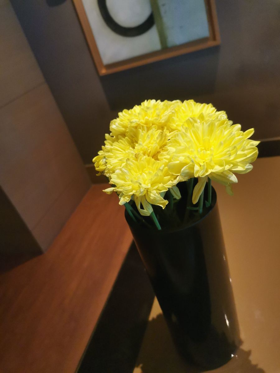 埃尔比勒罗塔纳酒店-旅行者