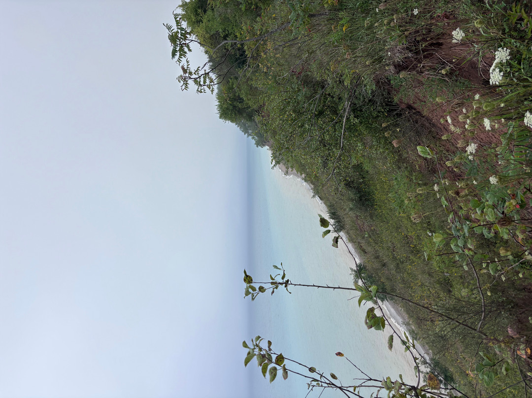 Lion's Den Gorge Nature Preserve-Grafton必去景点