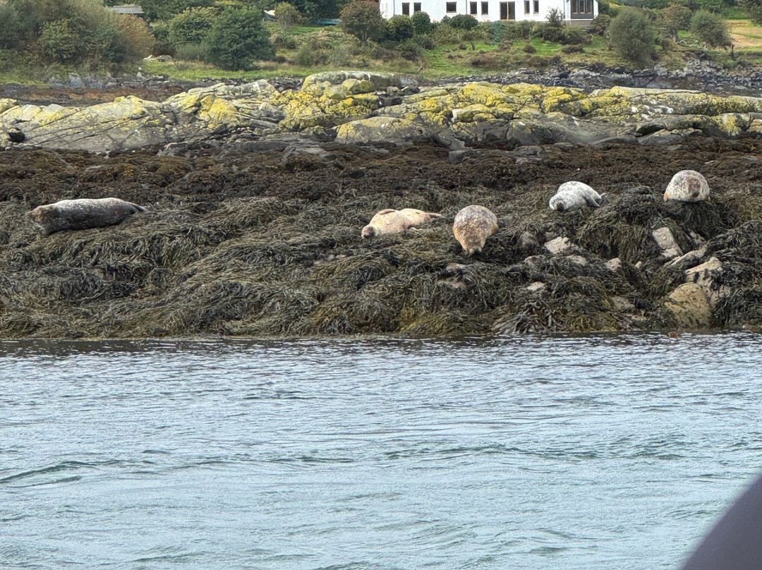 Sealife Adventures-Isle of Seil必去景点