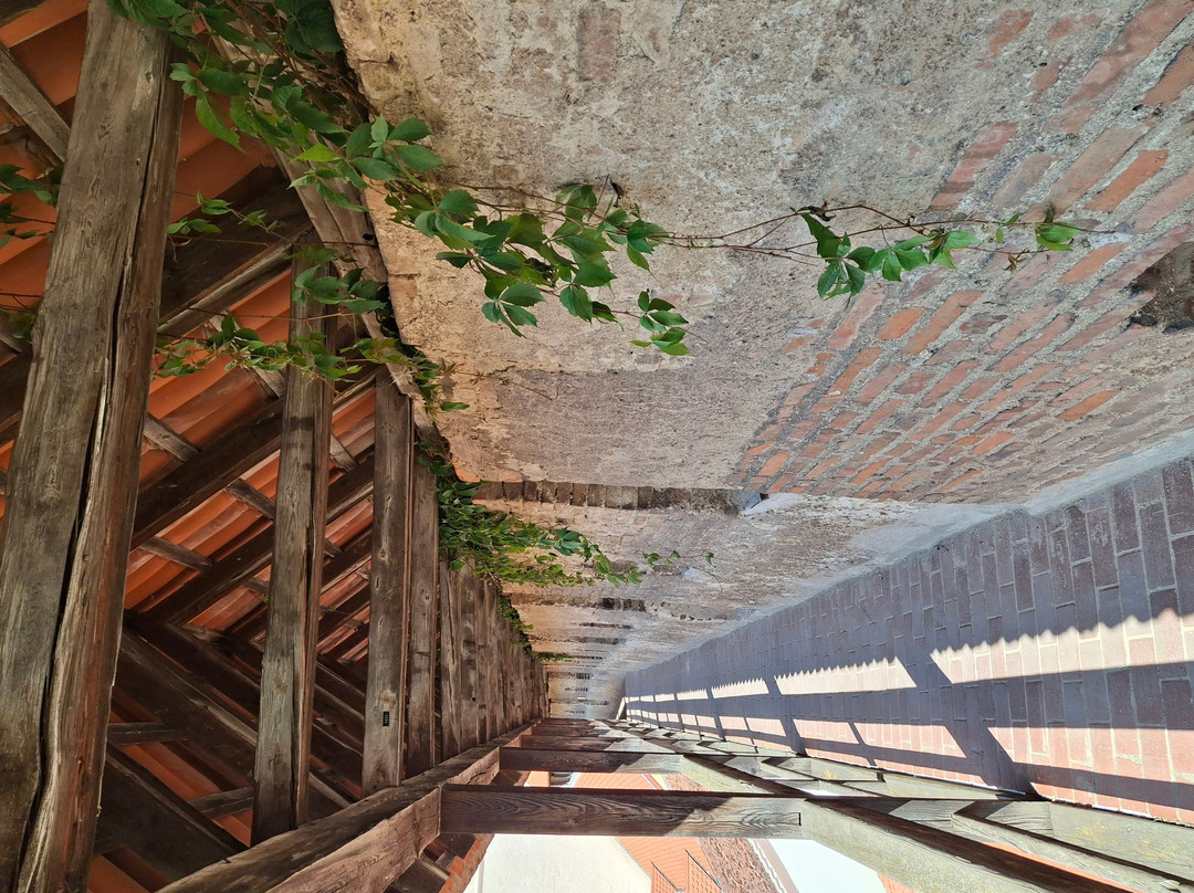 Historische Stadtmauer-讷德林根必去景点