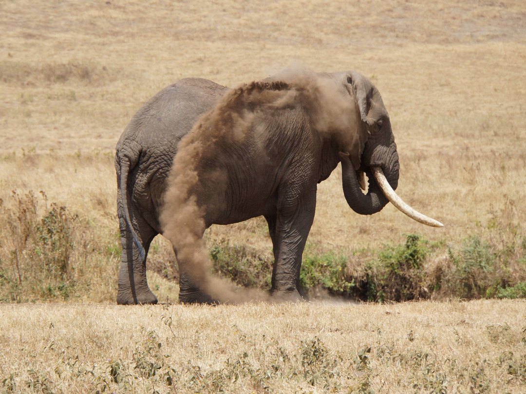 Tanzania-Experience-阿鲁沙必去景点