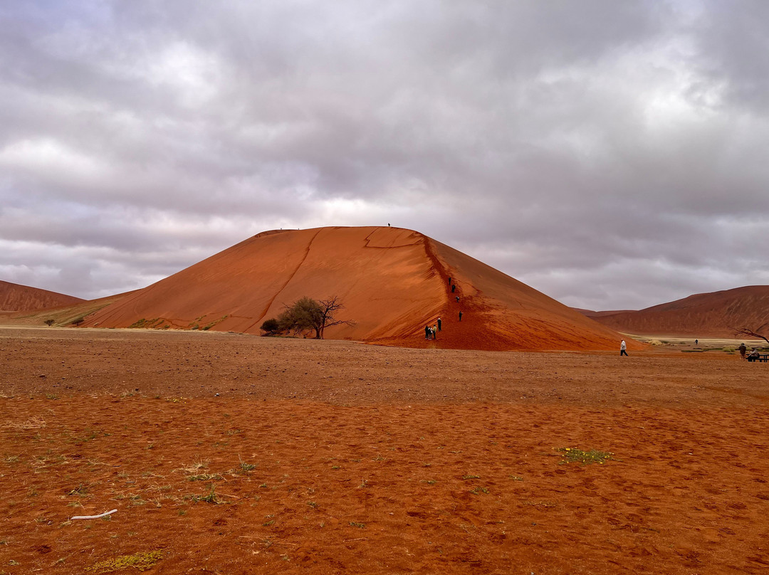 Namib Desert-苏丝斯黎必去景点