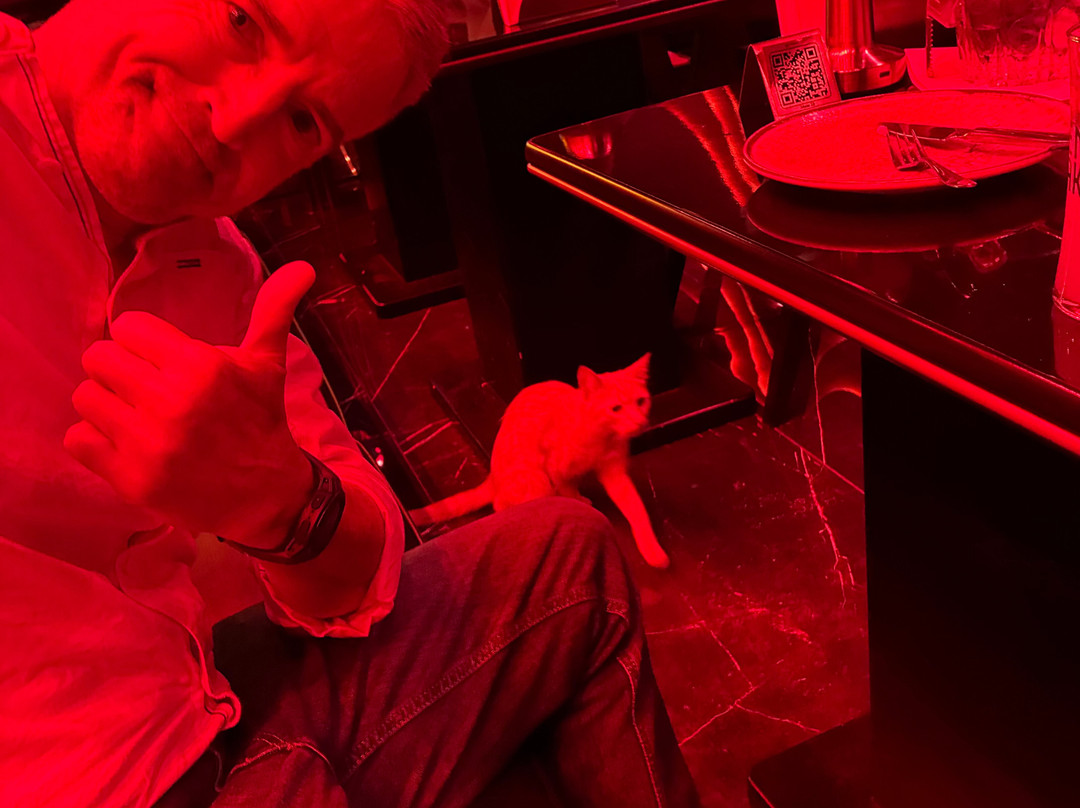 The Cocktail Academy Şişli