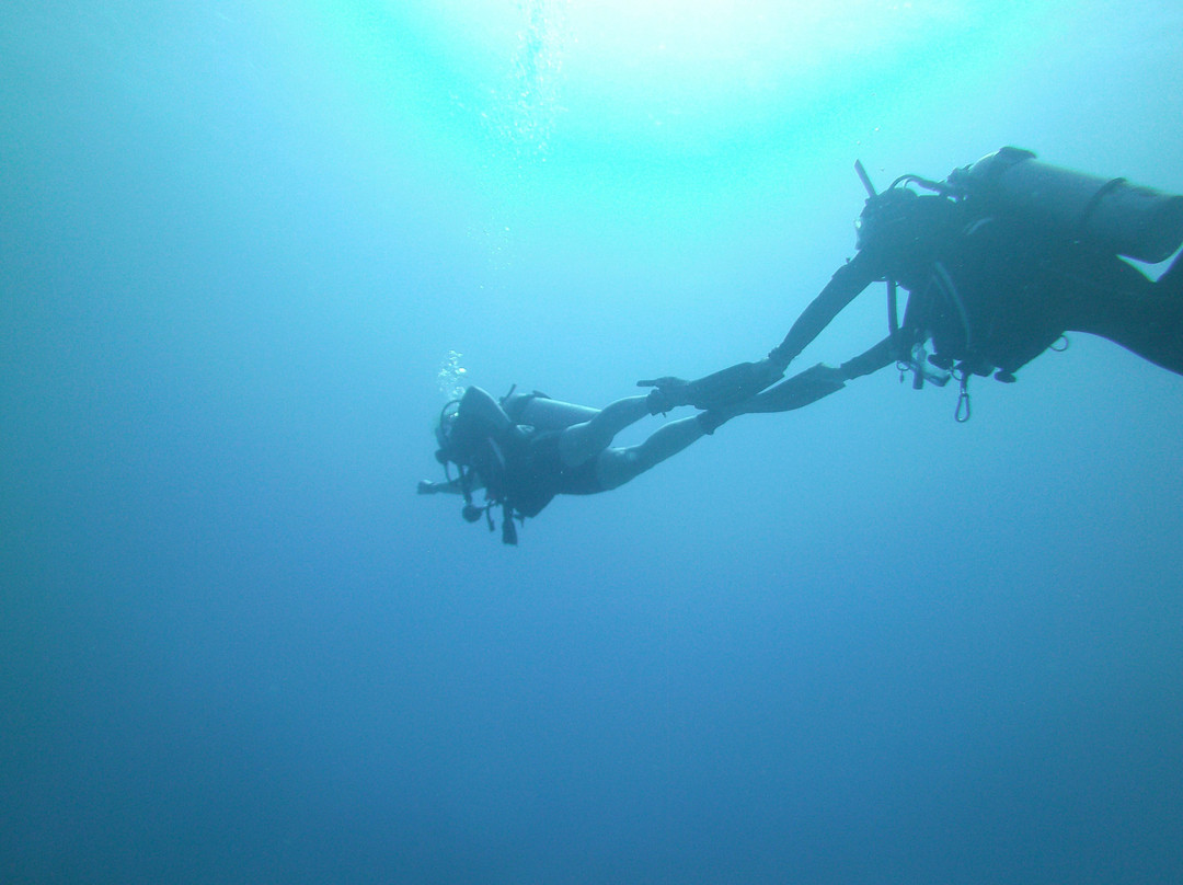 Black Rock Dive Centre-达哈卜必去景点