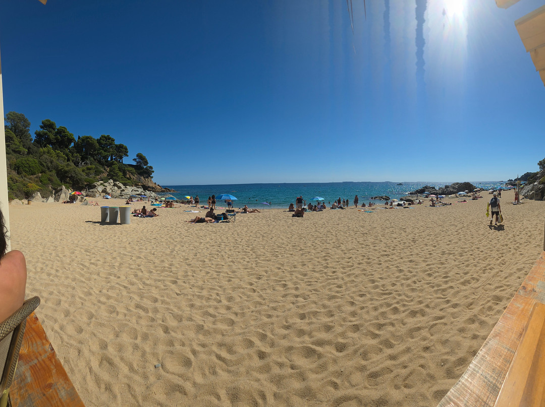 Playa Cala Sa Boadella-犹兰特德玛必去景点