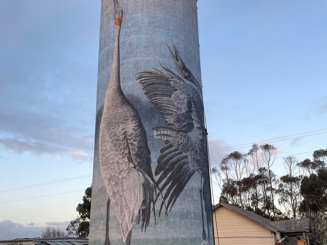 Lismore Water Tower Art-Lismore必去景点