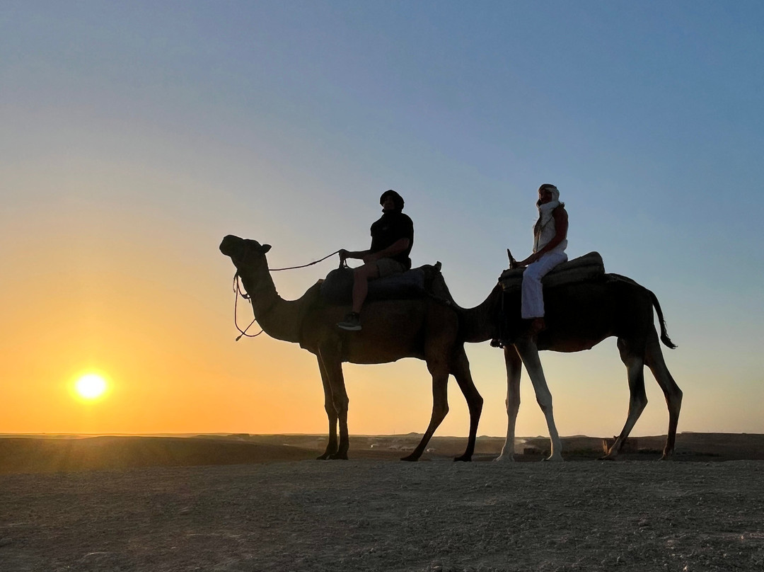 Camel Ride Trips - Morocco Private Tours & Sahara-非斯必去景点