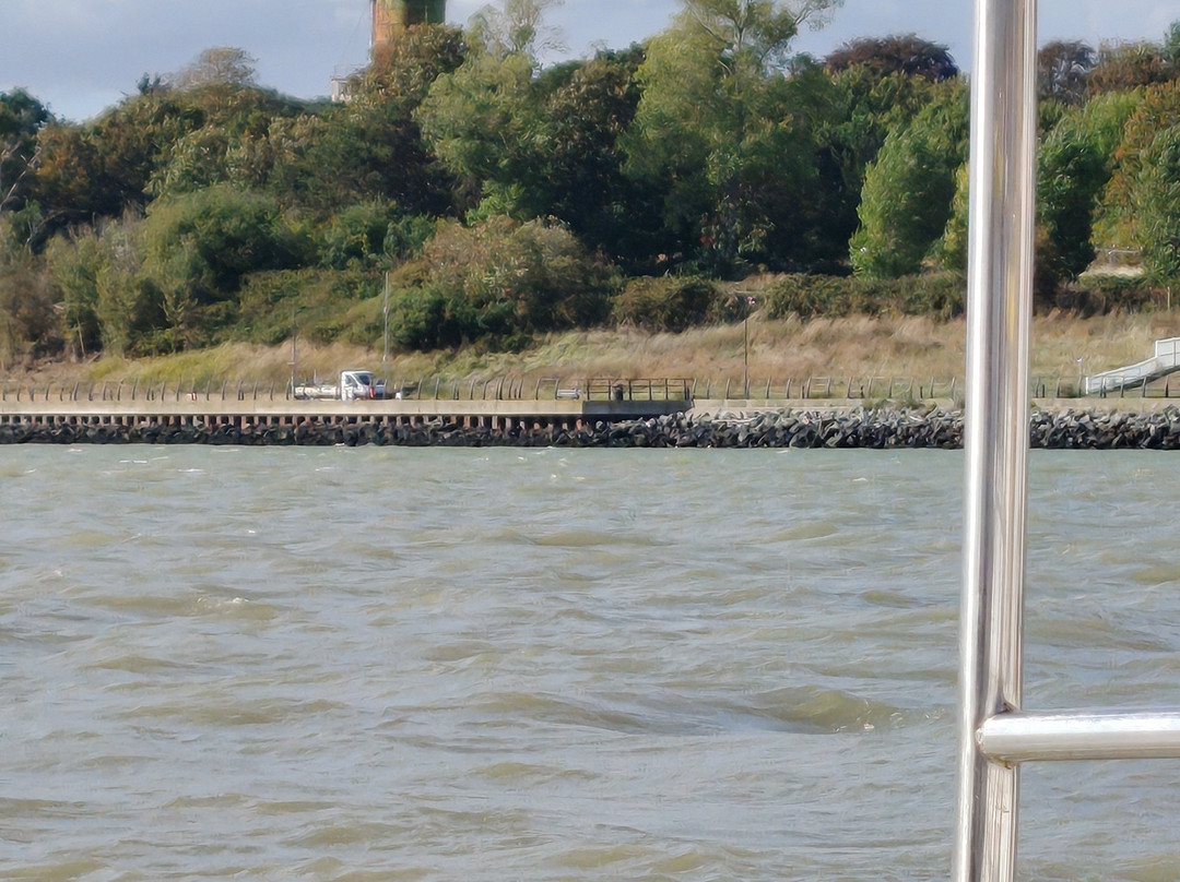 The Harbour Ferry-费力克斯托必去景点