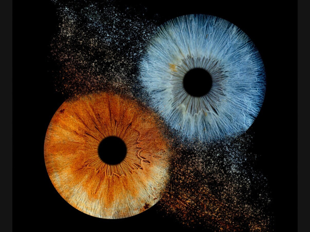 Iris Galerie Groningen-格罗宁根省必去景点