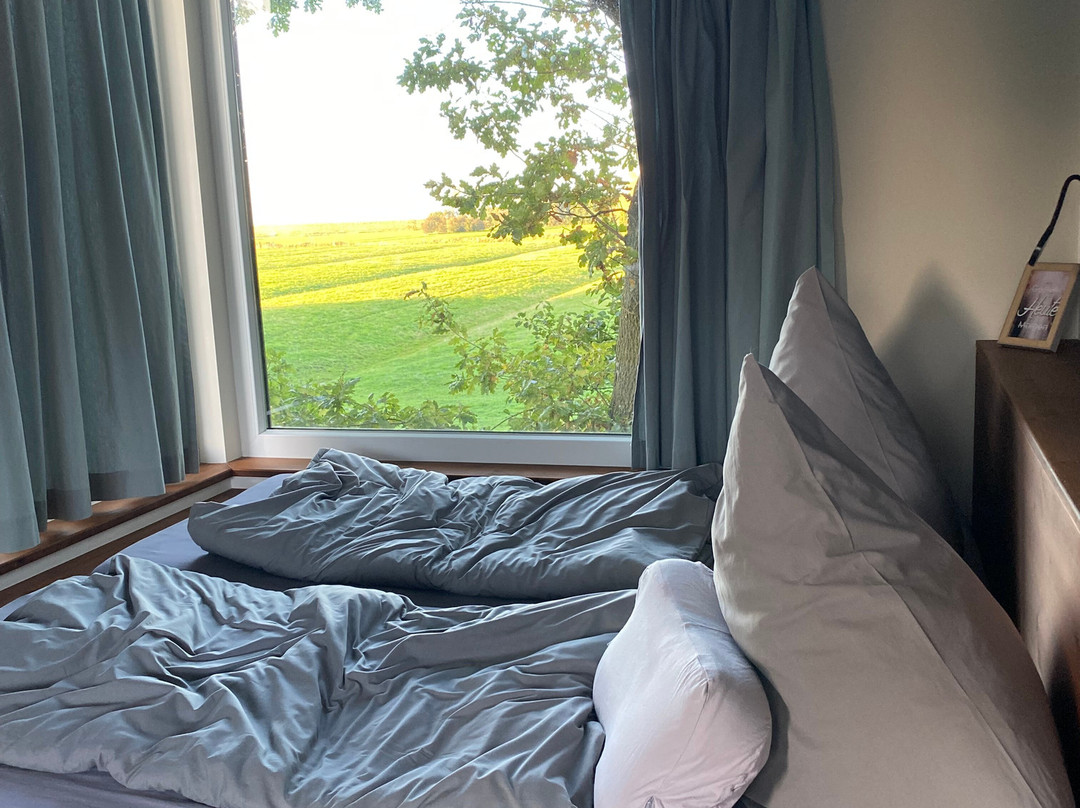 Baumhaushotel an der Nordsee