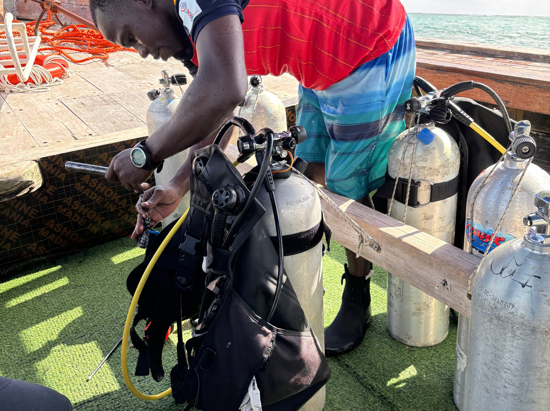 Eagle Ray Divers-Matemwe必去景点