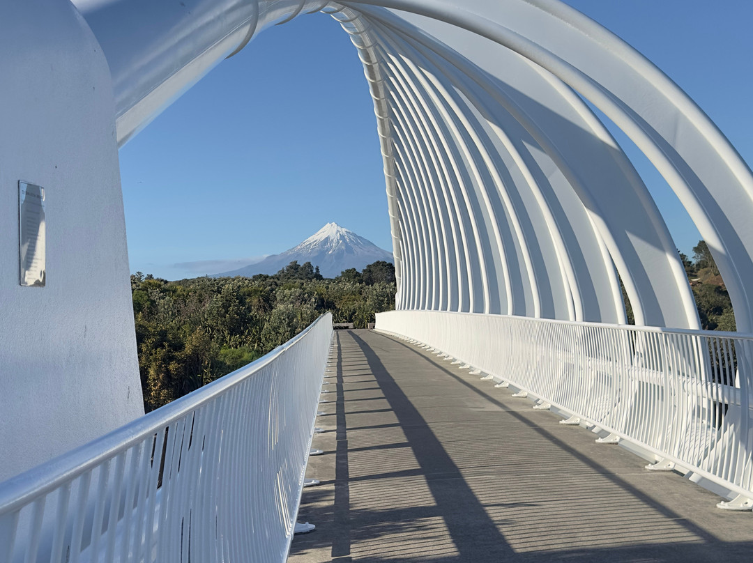 Te Rewa Rewa Bridge-新普利默斯必去景点