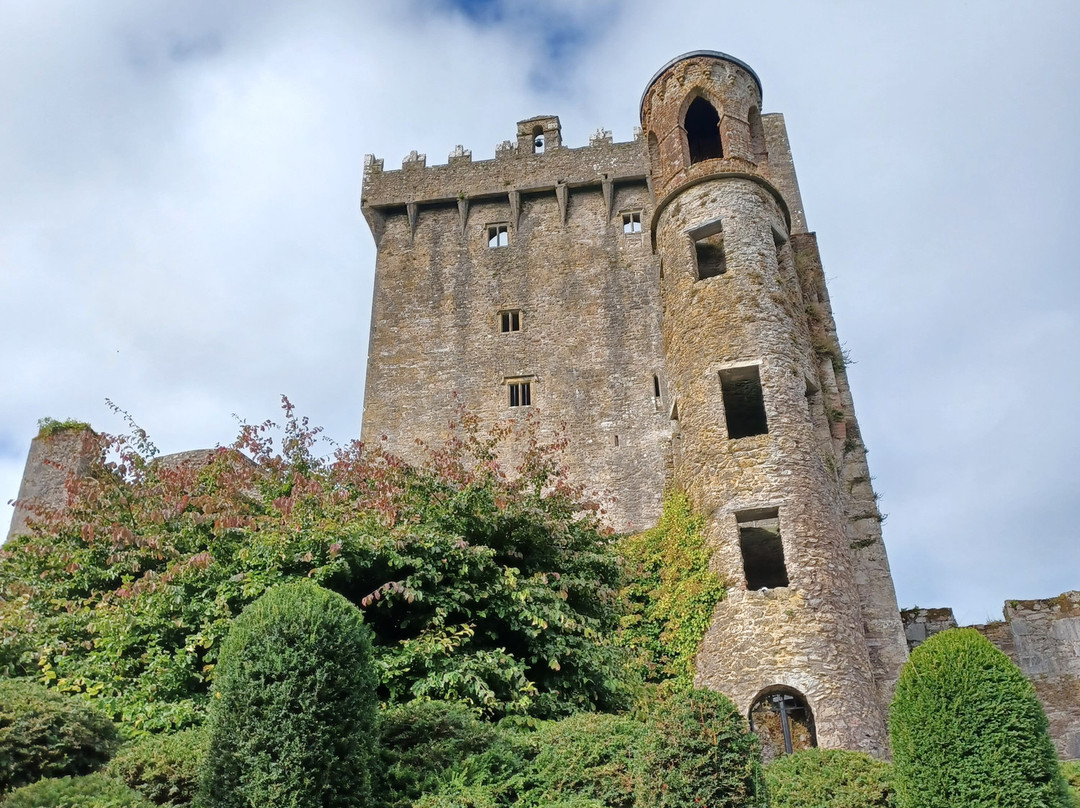 Irish Experience Tours-科克必去景点