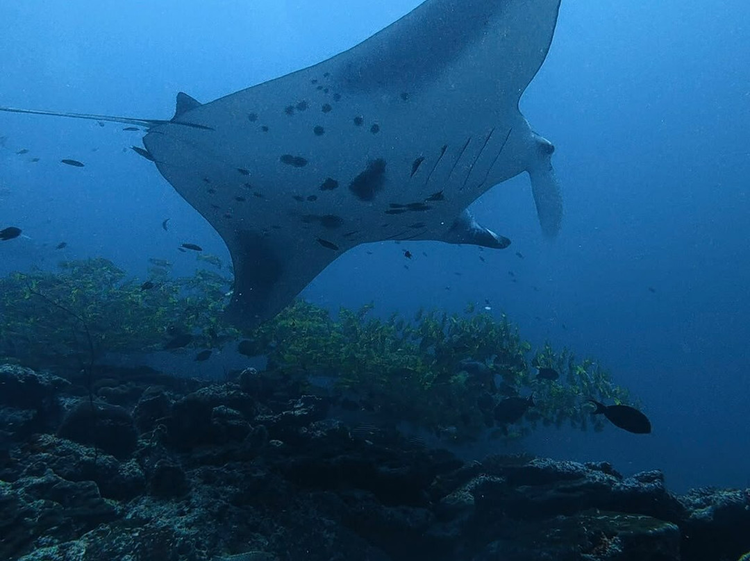 Himmafushi Scuba Adventure-Himmafushi Island必去景点