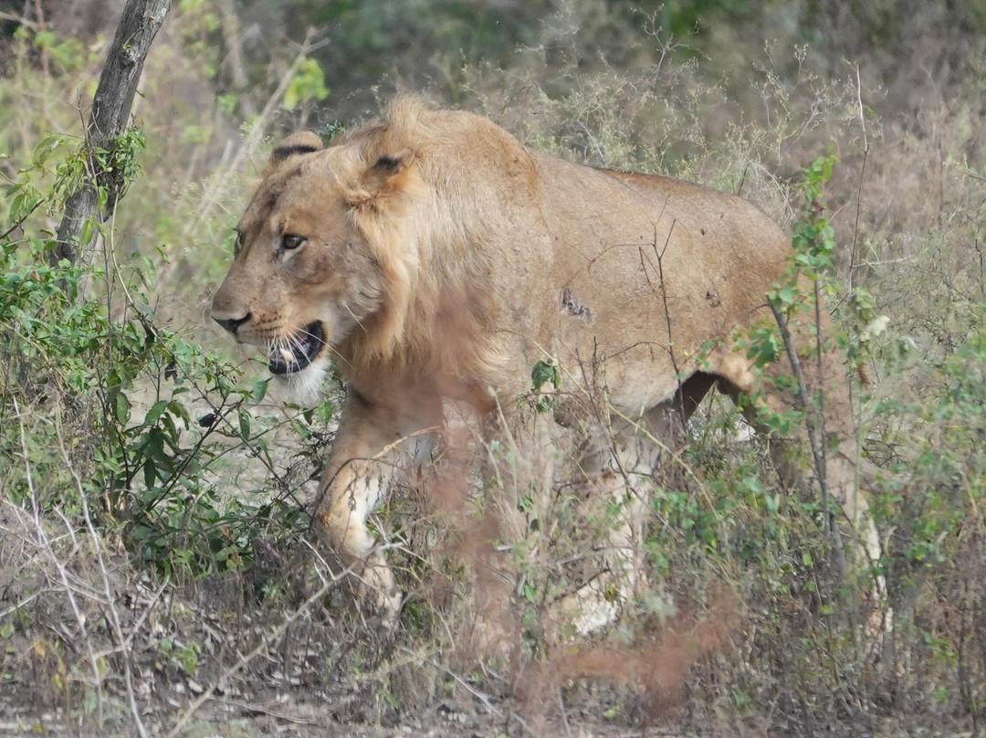 Grassrootz Adventures Uganda-坎帕拉必去景点