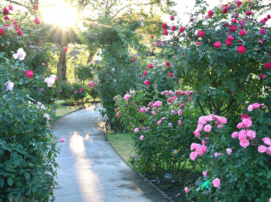 Nakanojo Gardens-中之条町必去景点