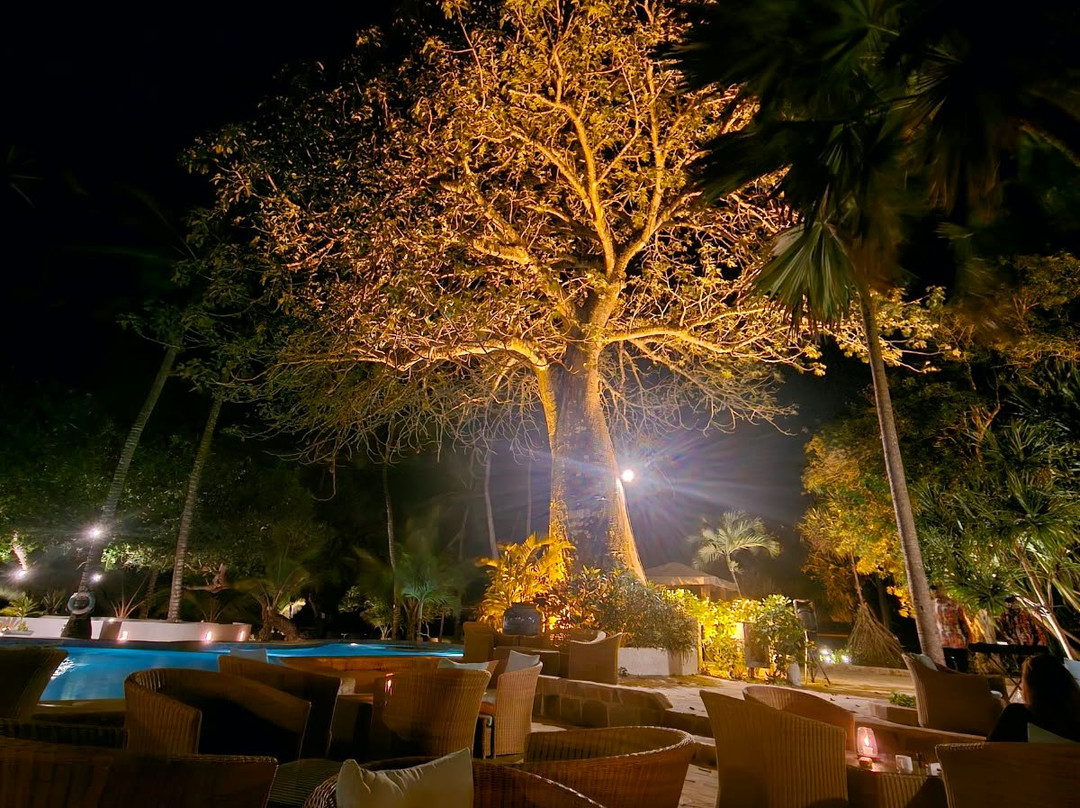 Ocean Village Club (Adults Only)主图
