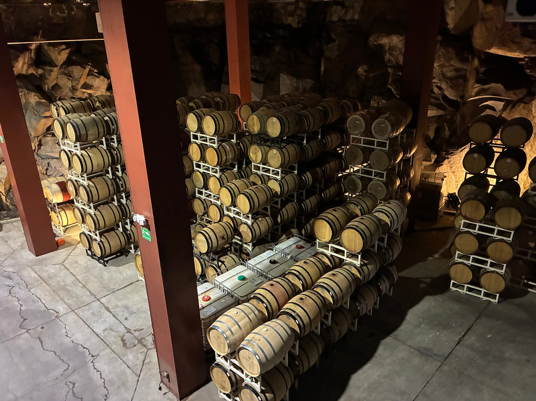 Monte Xanic Bodega Vinícola-Valle de Guadalupe必去景点