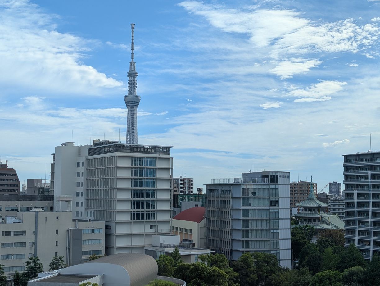 东京两国休雷克盖特酒店-酒店景观