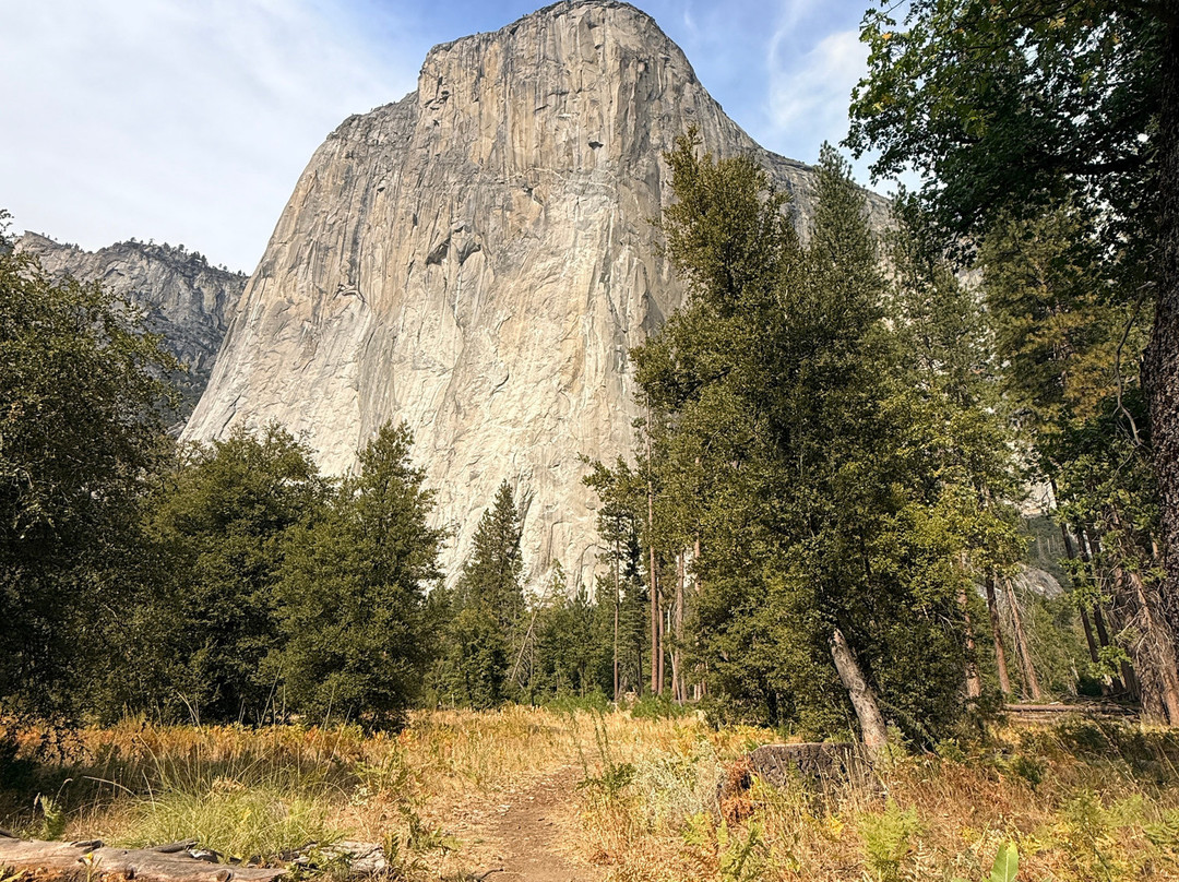 Yosemite Guide Service-格罗夫兰必去景点
