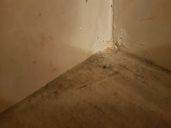 Hotel Les Nympheas主图