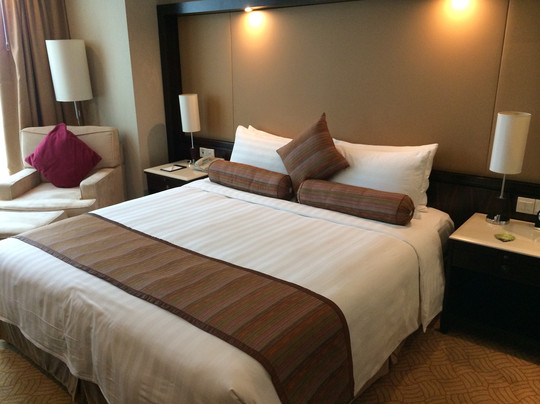 嘉豪淮海国际豪生酒店主图