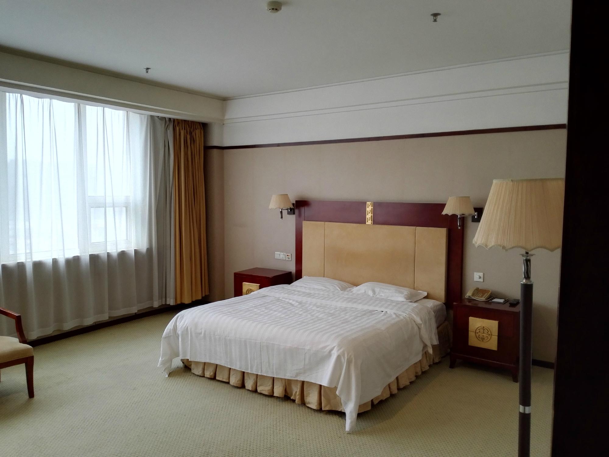 五洲花园大酒店-客卧